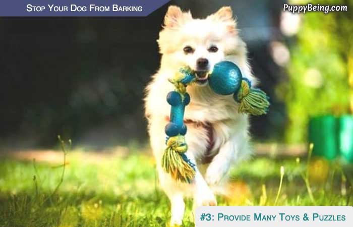 Stop Your Dog From Barking At People Animals Objects 05 Toys & Puzzles