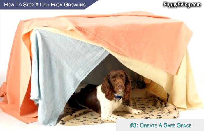 Stop Your Dog From Growling At People And Animals 05 Create A Safe Space For Your Pup