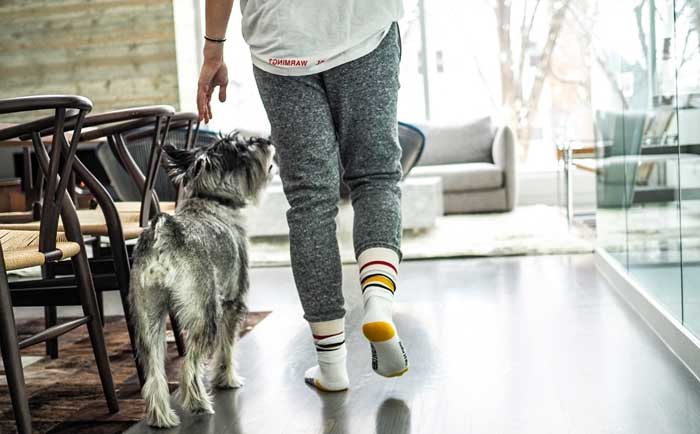 dog separation anxiety symptoms before leaving