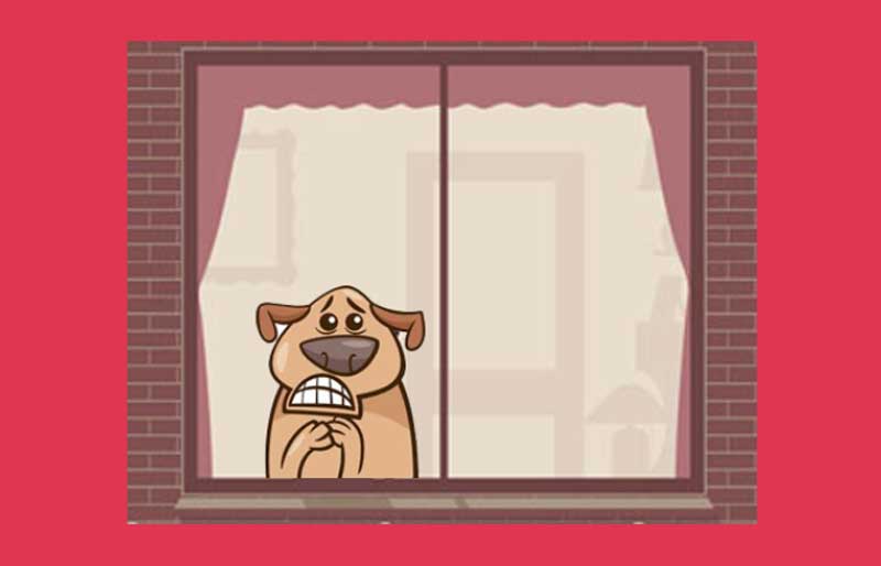 chapter1 what is dog separation anxiety